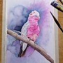 Il mio progetto del corso: Acquerello artistico per illustrazione di animali: gli uccelli. Projekt z dziedziny Trad, c, jna ilustracja, Malowanie akwarelą, R, sunek realist, czn, Ilustracja naturalist i czna użytkownika Paola oglialoro - 10.12.2021
