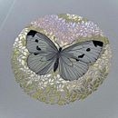 Shiny butterflies. Un proyecto de Ilustración tradicional, Bellas Artes, Creatividad, Dibujo, Pintura a la acuarela, Dibujo realista, Ilustración botánica, Ilustración naturalista				, Diseño floral y vegetal de Lisi - 11.12.2021