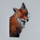 Animals . Un proyecto de Ilustración tradicional, Bellas Artes, Creatividad, Dibujo a lápiz, Dibujo, Pintura a la acuarela, Dibujo de Retrato, Dibujo realista, Dibujo artístico, Ilustración botánica e Ilustración naturalista				 de Lisi - 11.12.2021