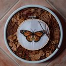 My project in Realistic Embroidery Techniques course Ein Projekt aus dem Bereich Traditionelle Illustration und Stickerei von barbara_bernardini - 11.12.2021