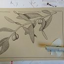 Mein Kursprojekt: Tagebuch illustrieren: Fülle dein Skizzenbuch mit Erlebnissen. Un proyecto de Ilustración tradicional, Bocetado, Dibujo, Sketchbook e Ilustración con tinta de herhaus - 12.12.2021