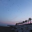 Playa alada con atardecer. Een project van Fotografie, L y scaping van Ana Palma Molina - 25.12.2018