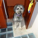 Fografía para proyectos personales. Projekt z dziedziny Fotografia, Tworzenie stron internetow, ch i Web design użytkownika jessilsb - 15.12.2021