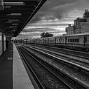 My project in Black and White Photography: Digital Editing and Retouching course. Un proyecto de Fotografía, Retoque fotográfico, Fotografía digital y Fotografía analógica de Robinson Rodriguez-Carrero - 15.12.2021