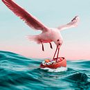 Mi Proyecto del curso: Pájaro pesca sushi.. Un proyecto de Fotografía, Collage, Retoque fotográfico, Ilustración digital, Composición fotográfica y Fotomontaje de Jose Suárez Santana - 16.12.2021