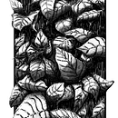 Mein Kursprojekt: Illustration mit Füller und Tinte: Natur zeichnen . % Josef Huber tarafından hazırlanan Eskiz çizimi, Çizim, Sanatsal Çizim, Eskiz defteri, Mürekkep İllüstras, onu, Doğalcı İllüstras, Ve on projesi - 12.17.2021