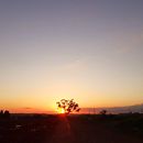Meu projeto do curso: Introdução à fotografia aérea com drones . % Lindauro Alves Coutinho Jr tarafından hazırlanan Fotoğrafçılık, Video, Ve Açık Hava Fotoğrafçılığı projesi - 12.18.2021