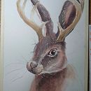 Mi Proyecto del curso: Técnicas experimentales de acuarela para principiantes. Un projet de Illustration traditionnelle, Beaux Arts, Aquarelle et Illustration naturaliste de Santi Jimenez D - 01.03.2024