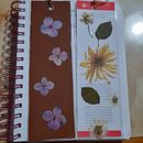 Mi Proyecto del curso: Técnicas básicas de prensado botánico. Un proyecto de Artesanía, Bellas Artes, Collage, DIY, Diseño floral, vegetal y Diseño de Victoria Villacorta - 16.12.2021