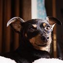 Meu projeto do curso: Fotografia para iniciantes: descubra sua câmera digital Ein Projekt aus dem Bereich Fotografie, Digitalfotografie und Fotografische Komposition von Rita Cavalheiro - 19.12.2021