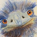 My project in Artistic Watercolor Techniques for Illustrating Birds course. Een project van Traditionele illustratie, Aquarelschilderen, Realistische tekening y Naturalistische illustratie van Kathy - 19.12.2021