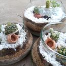 Mi Proyecto del curso: Arte vegetal: crea tu propio terrario abierto . % Cintia Simizu tarafından hazırlanan İç Tasarım, Pe, zaj Mimarisi, Dekoras, on, Kendin Yap, Ve Çiçek ve Bitki Tasarımı projesi - 12.19.2021