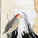 illustration. Traditional illustration project by Tereza Kocián - 12.20.2021
