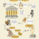 Il mio progetto del corso: Sketchnoting: Aristotles. Un progetto di Illustrazione tradizionale, Consulenza creativa, Lettering, Creatività, Disegno, Gestione di un portfolio, Comunicazione, H e lettering di Diletta Cardinali - 20.12.2021