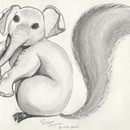 Élécureuil. Pencil Drawing, Drawing, and Artistic Drawing project by Roxane Onyria - 12.21.2021