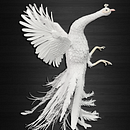 Mi Proyecto del curso: Técnicas avanzadas de papercraft: diseñando con papel. Un proyecto de Diseño, Artesanía, Escultura y Papercraft de Dayron Rodríguez Díaz - 22.12.2021
