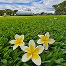 Vida e Cores Ein Projekt aus dem Bereich Fotografie von Ingryd Silva - 19.12.2021