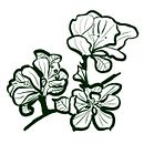 Garden. Un projet de Illustration traditionnelle de Olga - 24.12.2021