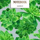 Il mio progetto del corso: Illustrazione botanica con acquerello. Un progetto di Illustrazione tradizionale, Belle arti, Pittura, Disegno, Pittura ad acquerello e Illustrazione botanica di Annalisa Ovi - 25.12.2021