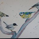 My project in Artistic Watercolor Techniques for Illustrating Birds course. Projekt z dziedziny Trad, c, jna ilustracja, Malowanie akwarelą, R, sunek realist, czn, Ilustracja naturalist i czna użytkownika elenueyre - 06.02.2022