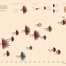 My project in Data Visualization and Information Design: Create a Visual Model course. Un projet de Design de l'information, Design d'interaction et Infographie de Ruchira Choudhary - 24.12.2021