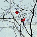 Redwing Illustration. Un progetto di Illustrazione digitale e Illustrazione tradizionale di Robin Crockett - 12.06.2019