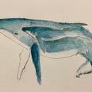 Humpback whale shapes Ein Projekt aus dem Bereich Traditionelle Illustration von Luísa Suda - 27.12.2021