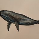Mi Proyecto del curso: Técnicas experimentales de acuarela para principiantes. Ilustração tradicional, Artes plásticas, Pintura em aquarela e Ilustração naturalista projeto de Andrea Fernando - 28.12.2021
