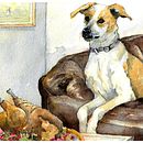 My project in Animal Characters in Watercolor for Children’s Books course. Un proyecto de Ilustración tradicional, Bellas Artes, Pintura, Dibujo, Pintura a la acuarela, Ilustración infantil y Narrativa de Caromin Louw - 22.12.2021