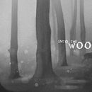 Into the Woods. Un proyecto de Ilustración tradicional, Ilustración digital, Gestión del Portafolio y Concept Art de Tory Polska - 29.12.2021
