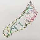 Observational Drawings. Un progetto di Disegno di Bel Pye - 30.12.2021