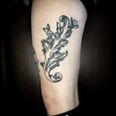 Foglia d’Acanto. Tattoo Design project by Alessandra Guzzo - 12.17.2021