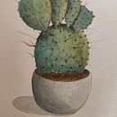 crassule. Un proyecto de Dibujo a lápiz, Dibujo, Diseño floral, vegetal, Ilustración botánica y Pintura a la acuarela de lo gi - 31.12.2021