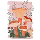 Mushrooms and Flora. Een project van Traditionele illustratie y Patroonontwerp van Weronika Siuda - 01.01.2022