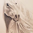 My project in Expressive Animal Portraits in Watercolor course: Couve My Dog. Un projet de Illustration traditionnelle, Aquarelle, Dessin réaliste et Illustration naturaliste de Michele S - 02.01.2022
