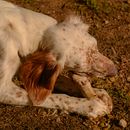 Personal Work - Beaujolais, France 2019. Lifest, le Photograph, Documentar, Photograph, and Photograph project by Cole Wilson - 01.03.2022