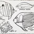 Coloring Page Fish Drawing . Projekt z dziedziny  R, sunek, Trad, c i jna ilustracja użytkownika Rebecca B - 04.01.2022