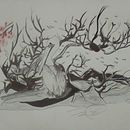 La vida solamente es una. Een project van Traditionele illustratie,  Tekening, Realistische tekening y Naturalistische illustratie van Francisco Ortiz Delgado - 28.12.2021
