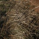 GIFFing. Traditional illustration, Animated Illustration, and Photograph project by Nikolina Stekovic - 01.05.2022