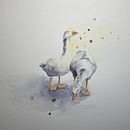Expressive Animal Portraits in Watercolor course final pieces. Un progetto di Illustrazione tradizionale, Pittura ad acquerello, Disegno realistico e Illustrazione naturalistica di Lindsay Redinger - 06.01.2022