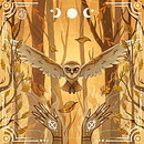 My project in Magical Realism for Children’s Illustration course - Owl Summoning. Traditional illustration, Character Design, Digital Illustration, Children's Illustration, and Editorial Illustration project by Adriana Depta - 01.06.2022