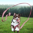 Long Tongue Dog : Mi Proyecto del curso, Fotomontaje e ilustraciones fantásticas en Photoshop. . Projekt z dziedziny Fotografia,  Kolaż, Retuszowanie fotografii, Ilustracja c, frowa,  Kompoz, cja w fotografii i Fotomontaż użytkownika Elodie Spagnol Nouveliere - 06.01.2022