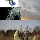 Let your dreams be bigger than your fears.Deja que tu sueños sean mas grandes que tus miedos . Een project van Fotografische postproductie, Retoucheren van foto's, Digitale fotografie, Fotografische compositie y Fotomontage van Maria Peligro Cabello - 07.01.2022