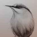 Mon projet du cours : Techniques artistiques d'aquarelle pour illustrer les oiseaux . % valerie oberrieder tarafından hazırlanan Geleneksel illüstras, on, Sulubo, a Resim, Gerçekçi Çizim, Doğalcı İllüstras, Ve on projesi - 01.02.2022