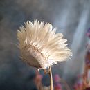 Mein Kursprojekt: Erstellung und Bearbeitung von Inhalten für Instagram Stories. Un projet de Réseaux sociaux, Photographie smartphone, Marketing digital, Photographie numérique, Instagram, Photographie pour Instagram, Marketing mobile, Marketing de contenu, Marketing pour Instagram, Photographie lifest , et le de Anita - 07.01.2022