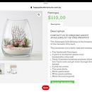 Terrarium Ideas. Projekt z dziedziny Kompoz i cje kwiatowe i botaniczne użytkownika Ruby Valkyrie - 07.01.2022