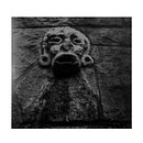 Grabado de Fotos. Photograph, Arts, Crafts, Fine Arts, Fine-Art Photograph, Film Photograph, Film, Video, and TV project by gabrielweason - 01.04.2022