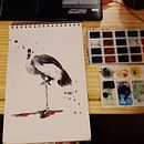 My project in Artistic Watercolor Techniques for Illustrating Birds course. Ilustração tradicional, Pintura em aquarela, Desenho realista e Ilustração naturalista projeto de Anete Šteinerte - 08.01.2022