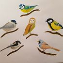 My project in Artistic Watercolor Techniques for Illustrating Birds course Ein Projekt aus dem Bereich Traditionelle Illustration, Aquarellmalerei, Realistische Zeichnung und Naturalistische Illustration von crysella - 06.01.2022