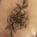 Mon projet du cours : Initiation aux techniques de tatouage. Een project van Traditionele illustratie,  Tatoeageontwerp y  Botanische illustratie van Sandra Fortier - 05.01.2022